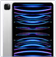 iPad Pro 11.0 (2022)