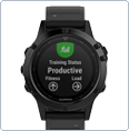 Garmin